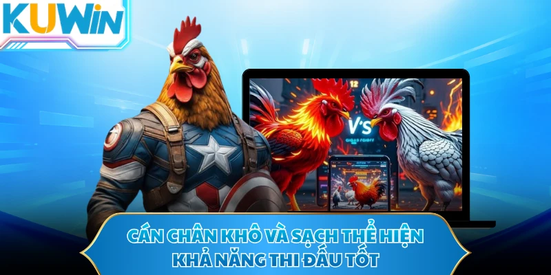 Cán chân khô và sạch thể hiện khả năng thi đấu tốt