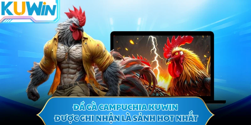 Đá gà Campuchia KUWIN được ghi nhận là sảnh hot nhất