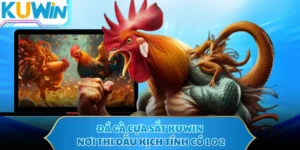 Đá Gà Cựa Sắt KUWIN - Nơi Thi Đấu Kịch Tính Có 1 0 2
