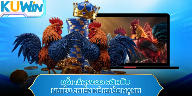 Đối tác SV388 sở hữu nhiều chiến kê khỏe mạnh