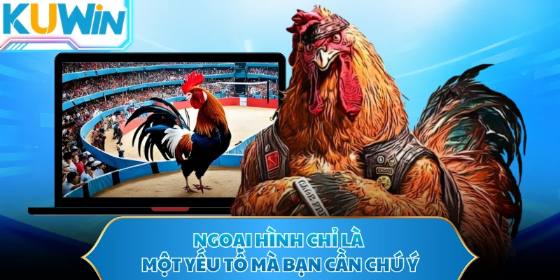 Ngoại hình chỉ là một yếu tố mà bạn cần chú ý