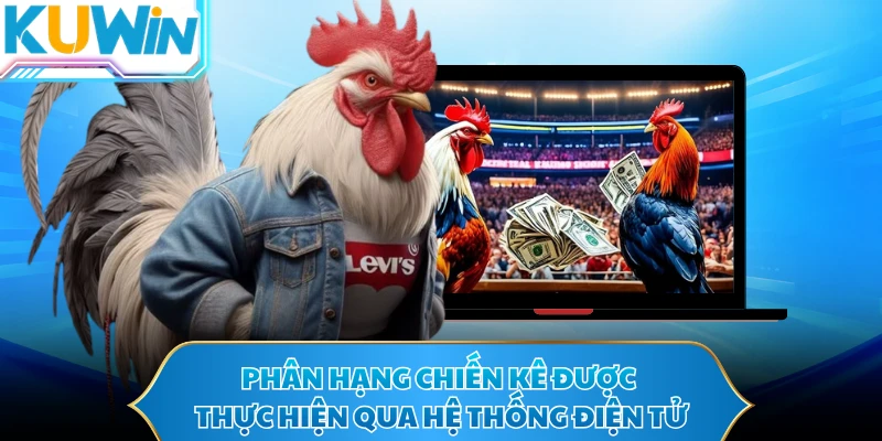 Phân hạng chiến kê được thực hiện qua hệ thống điện tử