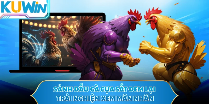 Sảnh đấu gà cựa sắt đem lại trải nghiệm xem mãn nhãn